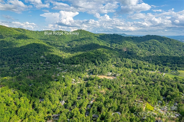 99999 Black Oak Dr Unit 13, Asheville, NC 28804 - photo 7