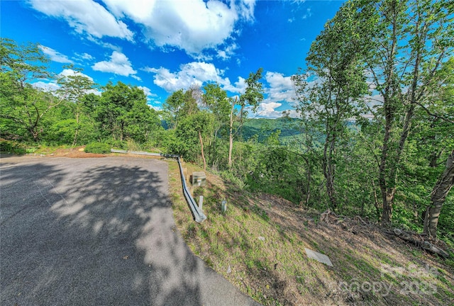 99999 Black Oak Dr Unit 13, Asheville, NC 28804 - photo 8