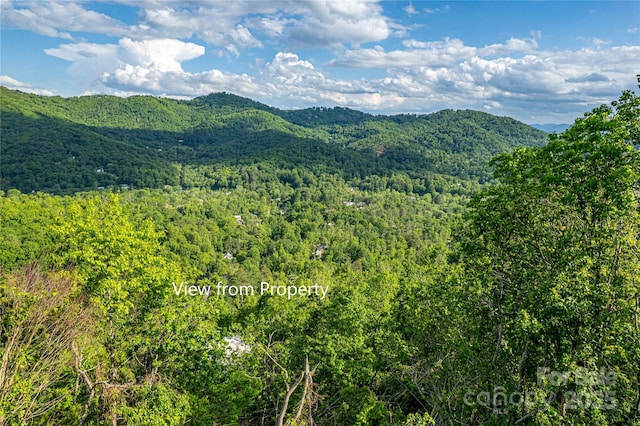 99999 Black Oak Dr Unit 13, Asheville, NC 28804 - photo 9