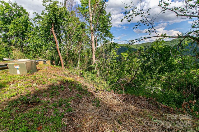 99999 Black Oak Dr Unit 13, Asheville, NC 28804 - photo 12
