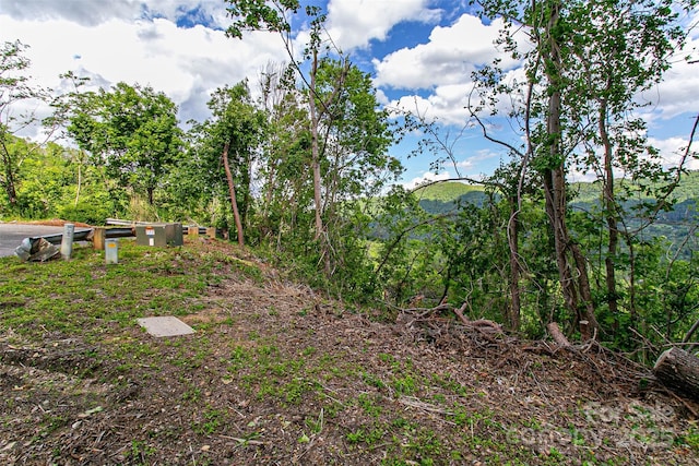 99999 Black Oak Dr Unit 13, Asheville, NC 28804 - photo 13