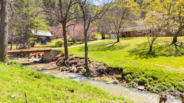 6334 Jacks Creek Rd, Burnsville, NC 28714 - view of grassy yard
