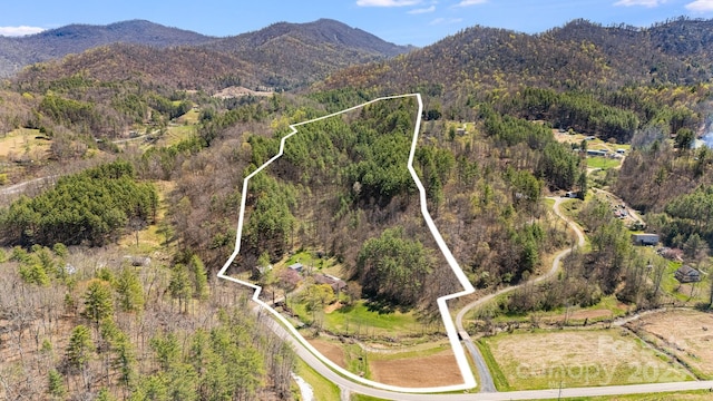 6334 Jacks Creek Rd, Burnsville, NC 28714 - aerial overview of property's location with property boundaries highlighted, a mountainous background, and a forest