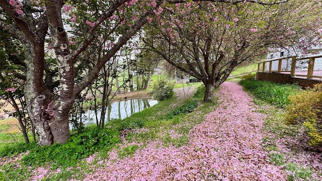 6334 Jacks Creek Rd, Burnsville, NC 28714 - view of yard featuring a water view