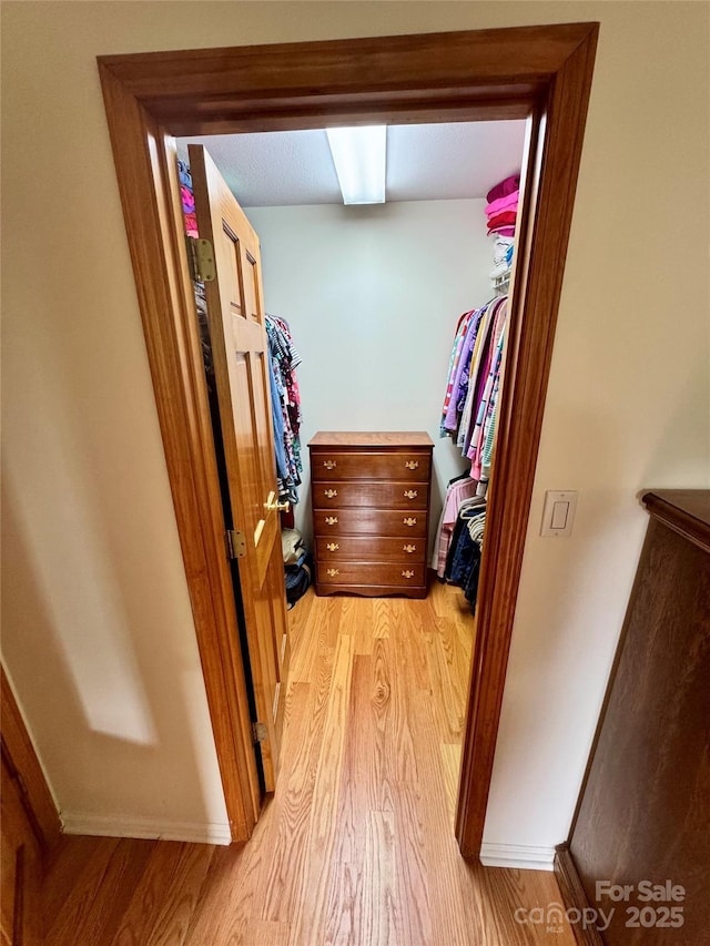 walk in closet with light wood finished floors