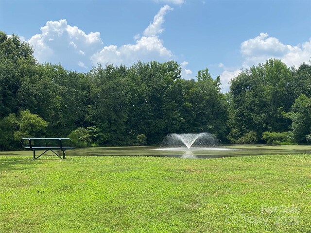 12824 Harvest Time Ct, Charlotte, NC 28278 - photo 39