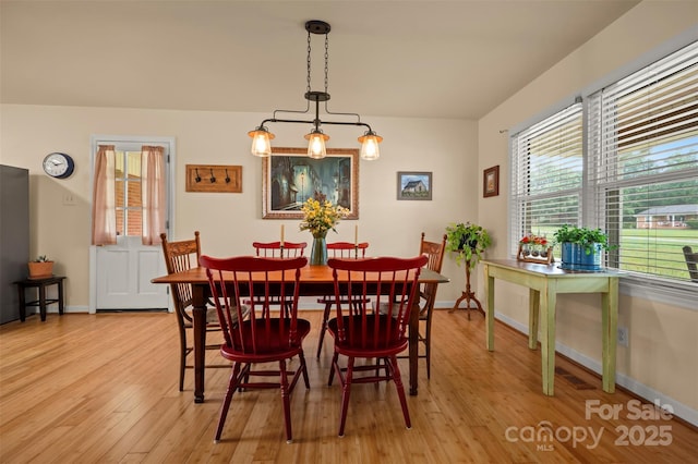 1761 Oak Grove Church Rd, Ellenboro, NC 28040 - dining room with light wood finished floors and baseboards