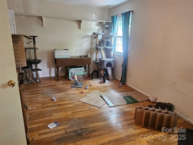 home office with wood-type flooring and baseboards