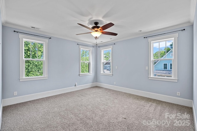 331 Solomon St, Charlotte, NC 28216 - empty room featuring ornamental molding, healthy amount of natural light, carpet flooring, baseboards, and ceiling fan