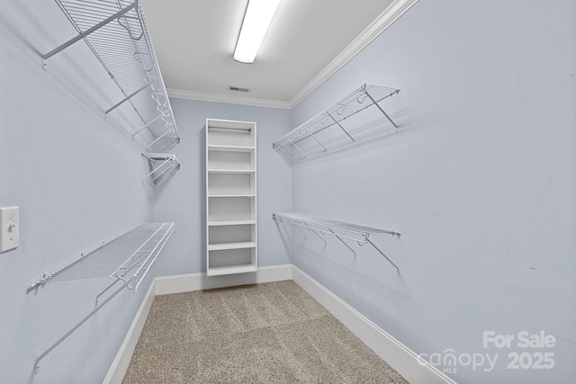 331 Solomon St, Charlotte, NC 28216 - spacious closet featuring carpet flooring