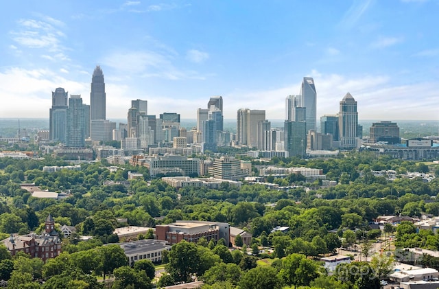 331 Solomon St, Charlotte, NC 28216 - skyline view