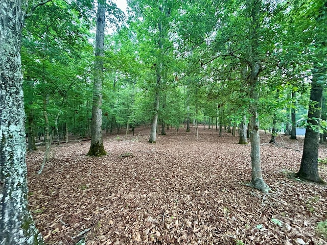 170 Water Oak Way, Mount Gilead, NC 27306
