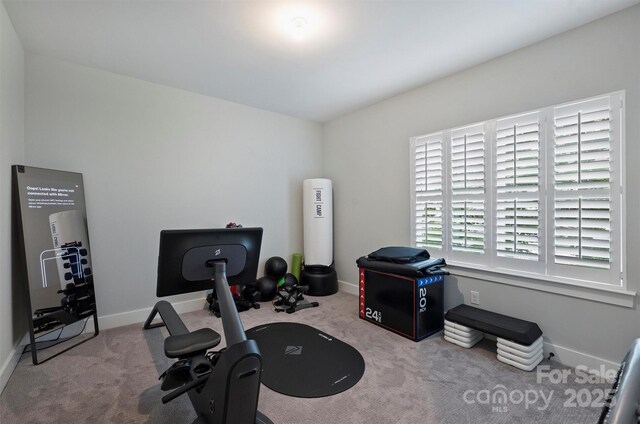 562 Preservation Dr, Fort Mill, SC 29715 - exercise area featuring carpet and baseboards