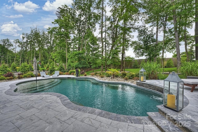 562 Preservation Dr, Fort Mill, SC 29715 - view of swimming pool featuring a patio area and a fenced backyard