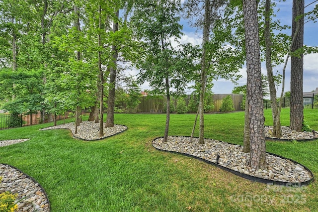 562 Preservation Dr, Fort Mill, SC 29715 - view of yard