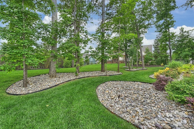 562 Preservation Dr, Fort Mill, SC 29715 - view of green lawn