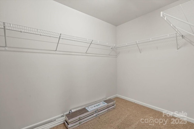 4095 Harmattan Dr, Denver, NC 28037 - walk in closet with carpet