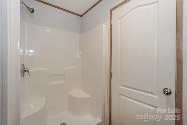 493 Eagle Mills Rd, Hamptonville, NC 27020 - photo 39