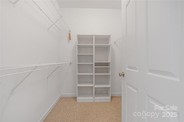 17111 Doe Valley Ct, Cornelius, NC 28031 - spacious closet with carpet