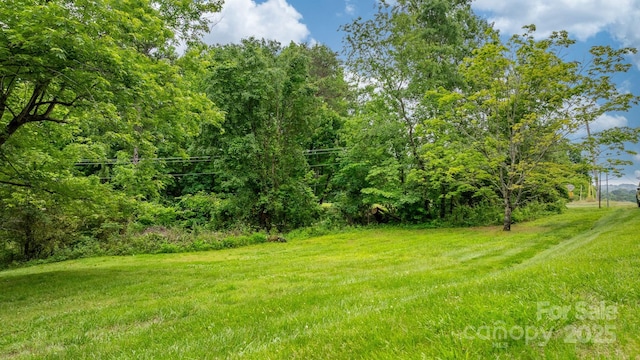 4306 Joplin Rd, Hudson, NC 28638 - view of yard