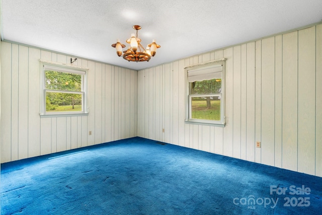 4306 Joplin Rd, Hudson, NC 28638 - carpeted empty room with plenty of natural light, a chandelier, a textured ceiling, and wood walls