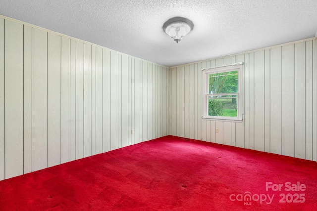 4306 Joplin Rd, Hudson, NC 28638 - empty room with a textured ceiling, wooden walls, and carpet floors