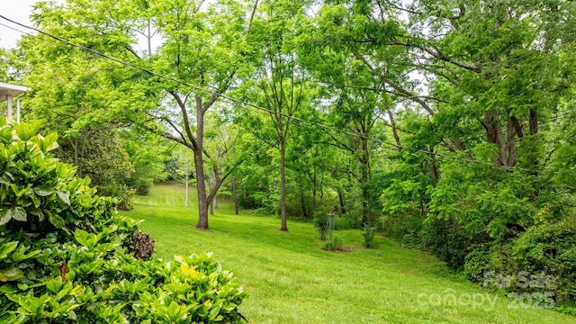 4306 Joplin Rd, Hudson, NC 28638 - view of grassy yard