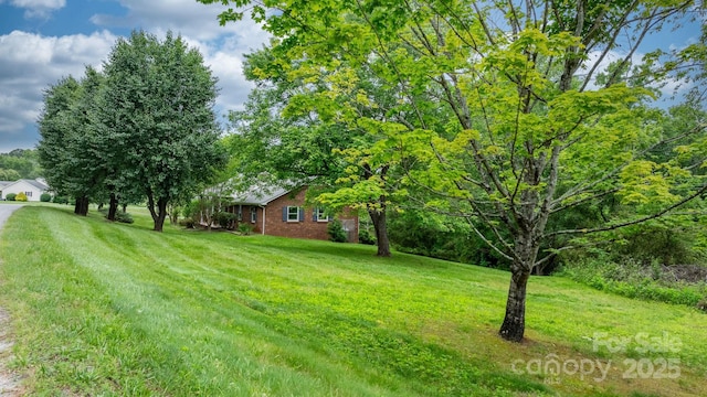 4306 Joplin Rd, Hudson, NC 28638 - view of grassy yard