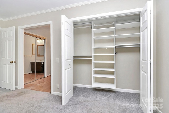 view of closet