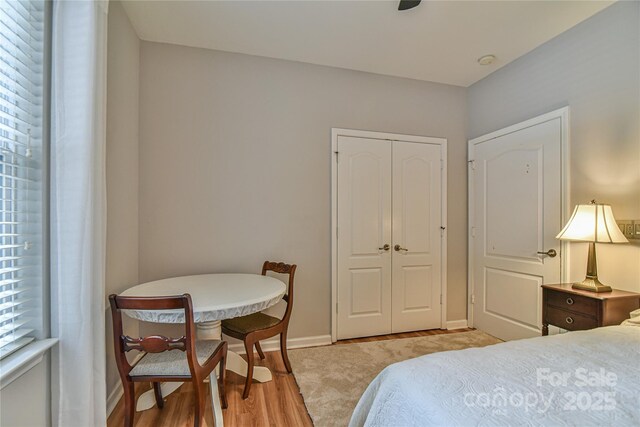 214 Appeldoorn Cir, Asheville, NC 28803 - bedroom with a closet, baseboards, and light wood-style flooring
