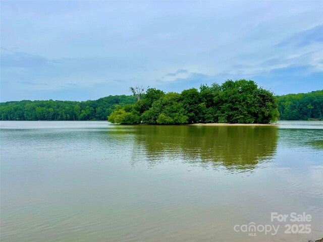 344 Linestowe Dr, Belmont, NC 28012 - photo 30