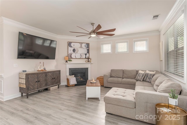 70 Rose Creek Rd, Leicester, NC 28748 - living room with ceiling fan, crown molding, light wood finished floors, a glass covered fireplace, and baseboards