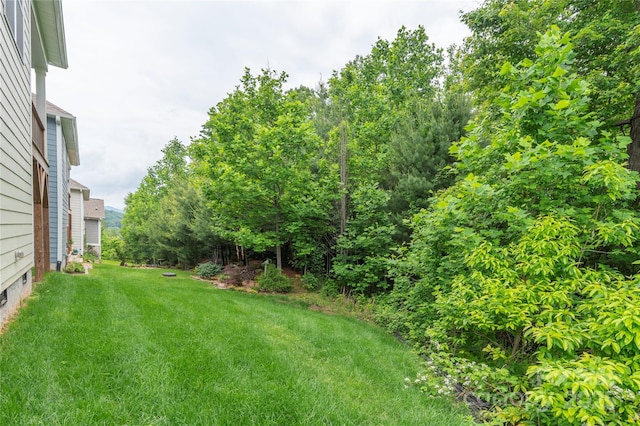 70 Rose Creek Rd, Leicester, NC 28748 - view of green lawn