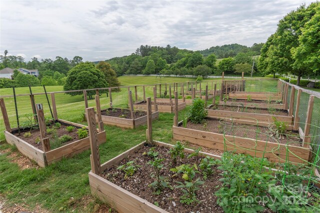 70 Rose Creek Rd, Leicester, NC 28748 - view of green lawn featuring a vegetable garden