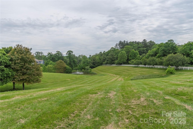 70 Rose Creek Rd, Leicester, NC 28748 - view of yard