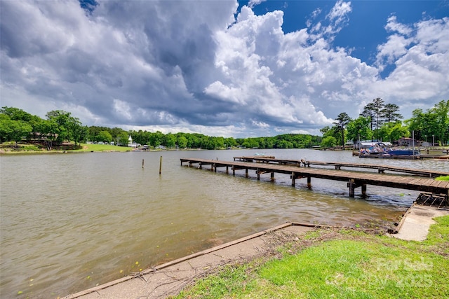 2474 Cottage Ln, Liberty Hill, SC 29074 - photo 4