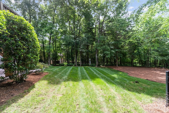 6795 Montgomery Rd, Lake Wylie, SC 29710 - view of green lawn