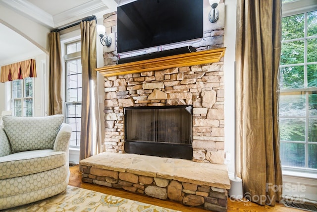 6795 Montgomery Rd, Lake Wylie, SC 29710 - detailed view of ornamental molding, a fireplace, wood finished floors, and arched walkways