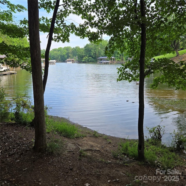 6795 Montgomery Rd, Lake Wylie, SC 29710 - water view