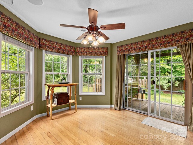 224 Old Haw Creek Rd, Asheville, NC 28805 - photo 6