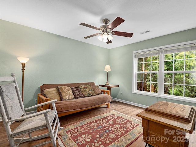 224 Old Haw Creek Rd, Asheville, NC 28805 - photo 17