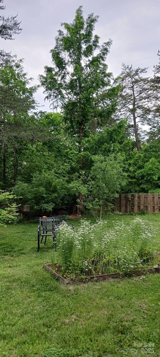 224 Old Haw Creek Rd, Asheville, NC 28805 - photo 45