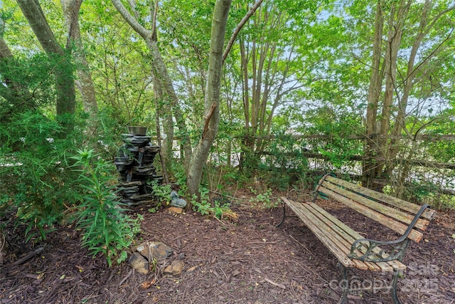 2315 Lanesboro Rd, Marshville, NC 28103 - view of home's community