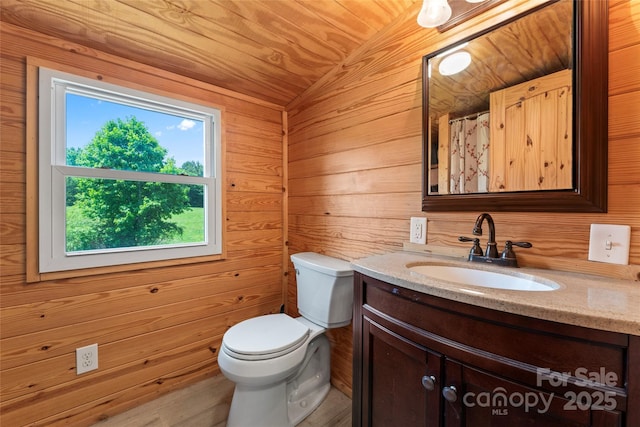 2315 Lanesboro Rd, Marshville, NC 28103 - bathroom with vanity, toilet, and wood walls