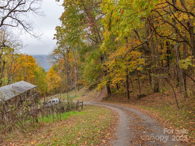 000 Sleepy Hollow Ln Unit 13, Canton, NC 28716