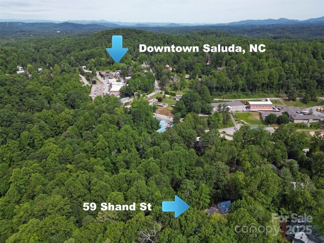 59 Shand St, Saluda, NC 28773 - photo 42