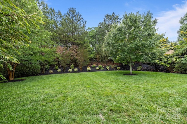 3206 Lakehurst Xing, Matthews, NC 28104 - view of grassy yard