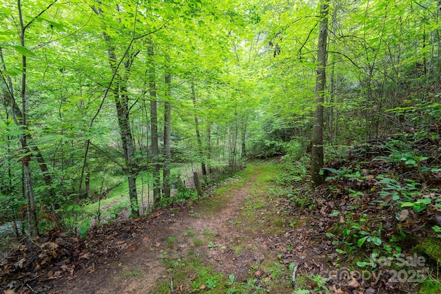 225 Opal Dr, Whittier, NC 28789 - view of wooded area