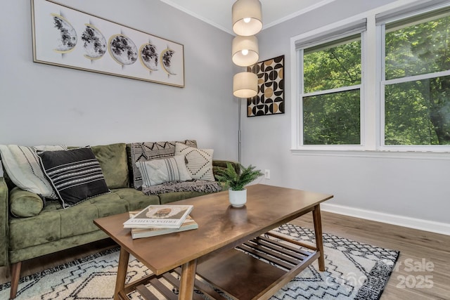 35 Avondale Rd, Asheville, NC 28803 - living area with wood finished floors, baseboards, and crown molding