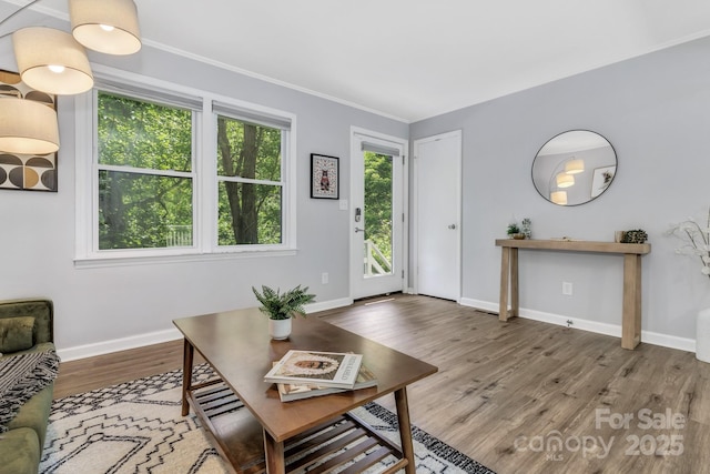 35 Avondale Rd, Asheville, NC 28803 - living room with wood finished floors, baseboards, and crown molding